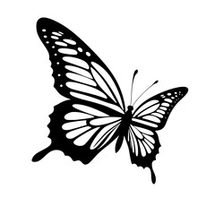 Cartoon illustration of a butterfly on white background