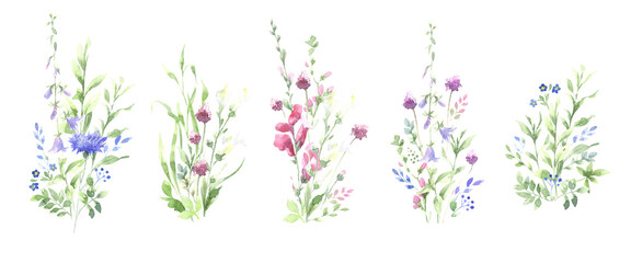 Fototapeta na wymiar set of bouquets of watercolor wildflowers
