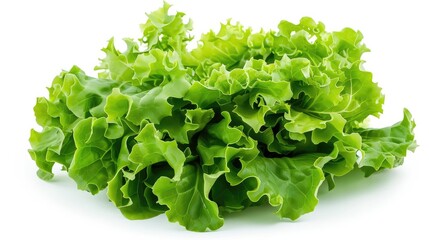 Vegetable lettuce isolated on white background. Tasty healthy full of vitamins Generative AI