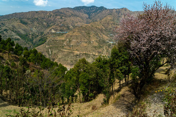 Fototapeta na wymiar Explore the majestic beauty of deep valleys and mountain landscapes in Thatyur Village, Tehri Garhwal, Uttarakhand, India. A captivating tourist destination offering breathtaking natural vistas.