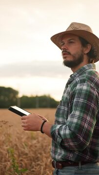 Bearded man in checkered shirt and hat browsing tablet while checking cereal crops