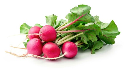 Vegetable radish isolated on white background. Tasty healthy full of vitamins Generative AI