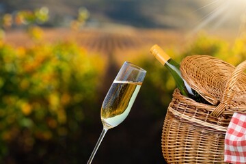Obraz premium Tasty wine champagne at green nature background