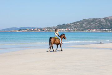 A female equestrian rides a brown horse along the shoreline with clear blue waters and a mountainous backdrop, capturing a moment of peaceful coexistence with nature