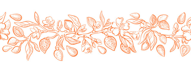 Almond details border. Hand drawn seamless branch