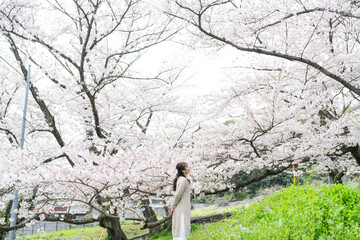 桜と女性