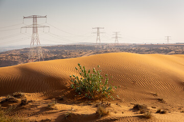 Golden desert dunes landscape with transmission towers on the horizon and Apple of Sodom...