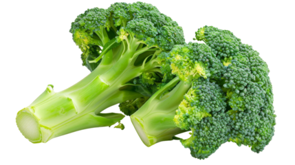 Broccoli isolated on white background