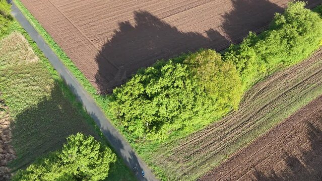 Acker und Gruenstreifen von oben