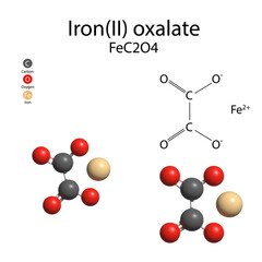 Iron Oxalate Iron(II) oxalate, is a inorganic compound with the formula FeC2O4 or C2FeO4. These are orange compounds. 3d illustration. The molecule is represented in different structures.
