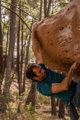 Person practicing bouldering in a pine forest
