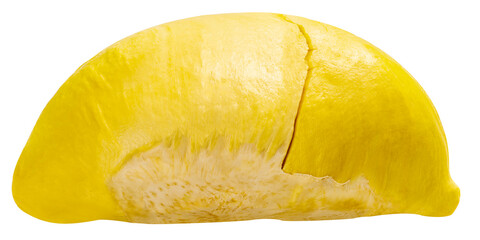 Durian The King of (Tropical) Fruits isolate on white background PNG File.
