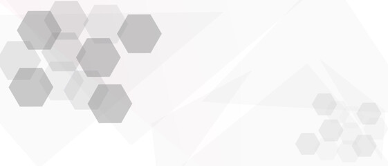 Vectors Geometric abstract background with simple Hexagon elements. Vector illustration for medicine, technology or science design