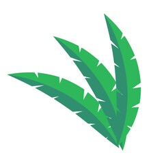 palm branch illustration on a white background