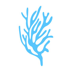 seaweed on seabed concept macroalgae on a white