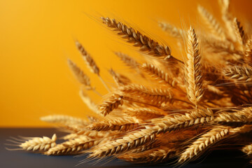 Obraz premium Golden wheat ears against a vibrant yellow background