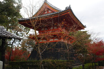 Naklejka premium 日本の京都 秋の仁和寺の風景