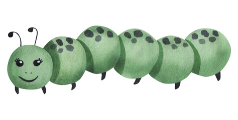 Cute green caterpillar. Watercolor illustration isolated on white background