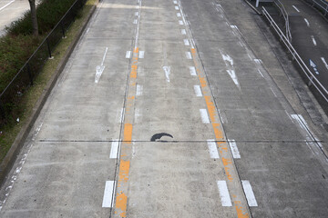 【名古屋】3車線の幹線道路上の書かれた矢印