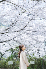 Fototapeta na wymiar 桜と女性