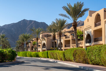 Row of arabic style modern townhouses, residential architecture with green vegetation and palm...