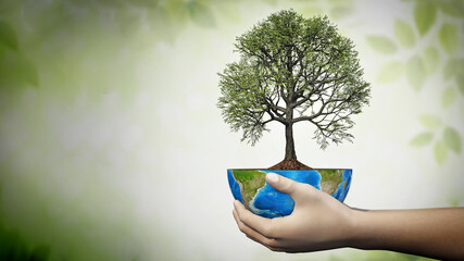 Hands holding an oak tree planted on a globe. Sustainability concept. 3D illustration - 792622836