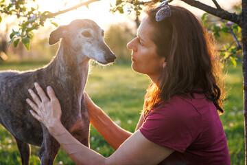 Pet owner and Spanish greyhound together outdoors. Friendship between people and animal. Woman is...