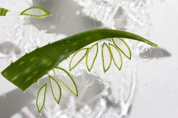 Aloe background, slices and leaves in moisturizing healing gel. High quality photo
