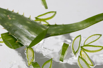 Aloe background, slices and leaves in moisturizing healing gel. High quality photo