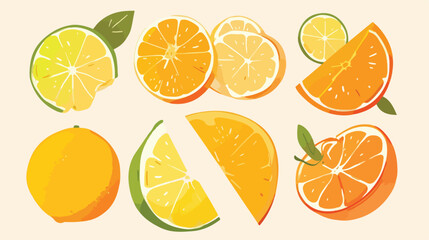 Stylized Slice of Orange. Vector Citrus Fruit Icon.