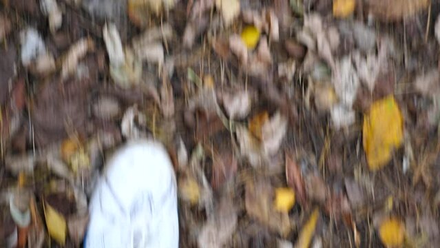 Point of view to male foot stepping on fallen leaves at park. Legs of young man in sneakers going on dry foliage at autumn forest. Guy walking at wild nature. Slow motion