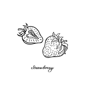 Strawberry. Two blck and white berries. Hand-drawn flat image. Vector illustration.