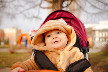 A small child dressed in a bear costume playfully rides in a stroller, creating a cute and whimsical scene. © Anton Dios