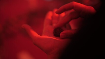 the wax seal lies in the palm of your hand in the red light.
