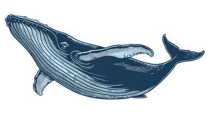 Vector whale icon. Vector illustration of a blue whale
