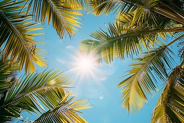 the warm, tropical sunlight filtering through palm fronds, creating a pattern of light and shadows.