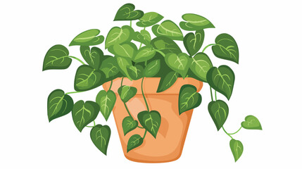 Climbing houseplant in pot isolated. Vector flat style