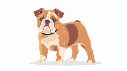 Cute dog of English bulldog breed. Funny chunky doggy