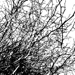 Background bare tree branches. Not AI, Vector illustration