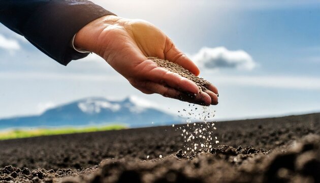 Jesus' Parable About the Sower who went out to Sow The Word.