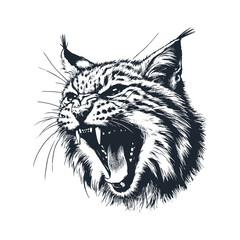 The wild lynx. Black white vector illustration.