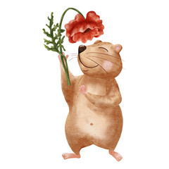 Watercolor hamster. Funny standing hamster isolated on white background. A hamster sniffs a poppy flower. Illustration for nursery, stickers, greetings.