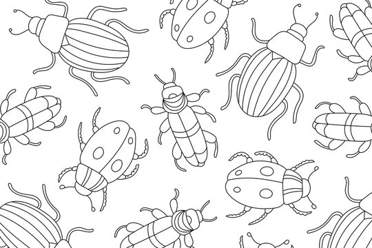 Insects line art coloring page. Mindful coloring activity. Stress relief coloring page. Bug and beetle vector illustration