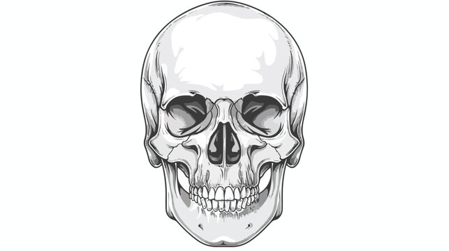 Frontal radiograph of skull. X-radiation picture 
