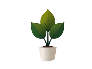 Vibrant Green Potted Plant
