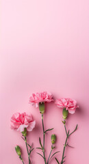 ピンクのカーネーションにピンクの背景。ミニマル、シンプル。バナー背景、空白のテキストエリア、メッセージカード