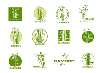 Bamboo icons, spa massage, beauty and health symbols with green trees and leaves vector silhouettes. Asian jungle forest bamboo plant stalks isolated badges, resort, hotel, organic cosmetics emblems