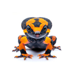 Yellow and Black Frog on White Surface. Generative AI