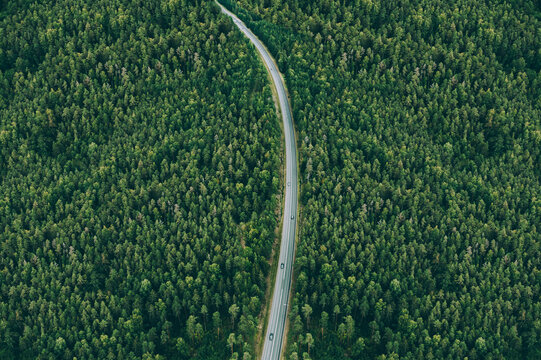 Aerial view of country road with cars and green summer woods