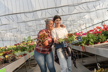 The grandmother and her granddaughter work side by side in their greenhouse garden. Cultivating and watering plants.	
